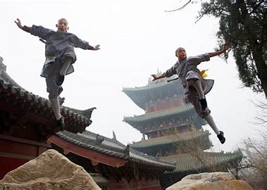 7 Styles d'Arts Martiaux du Kung Fu Shaolin