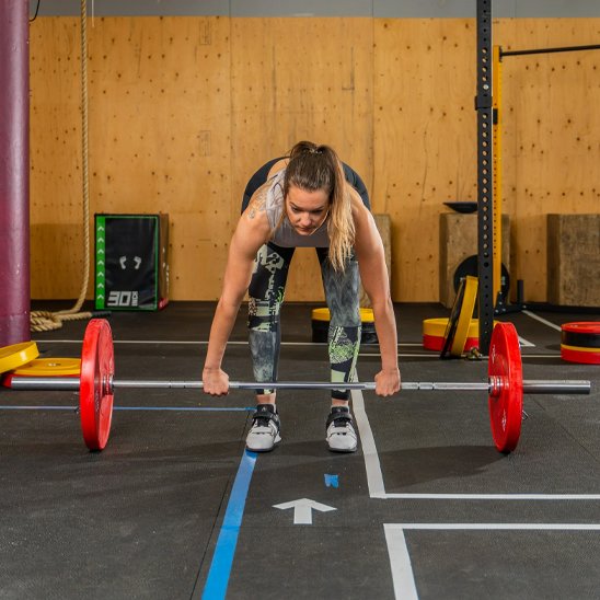 Disque Musculation Professionnel - Fitness & Gym | Synergie